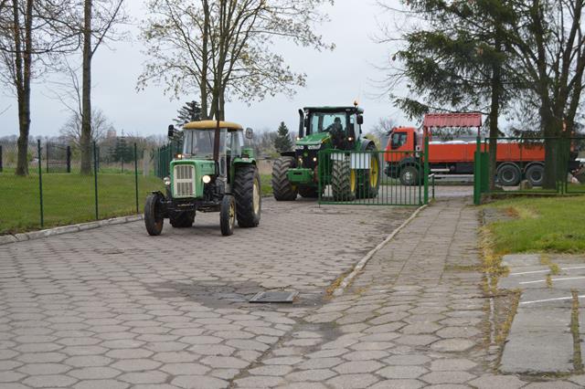 Zdjęcie 49